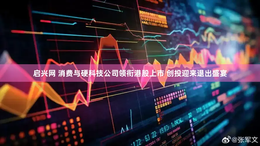 启兴网 消费与硬科技公司领衔港股上市 创投迎来退出盛宴