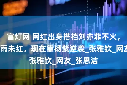 富灯网 网红出身搭档刘亦菲不火，合作周冬雨未红，现在靠杨紫逆袭_张雅钦_网友_张思洁