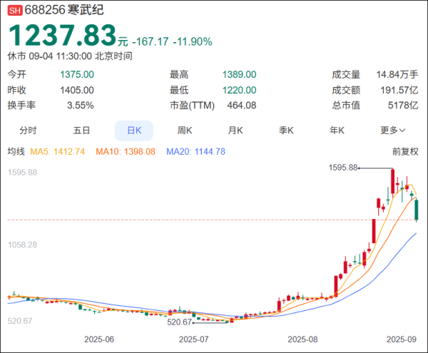 元配网 盘中重挫超13%！短期内连日下跌，寒武纪发生了什么？